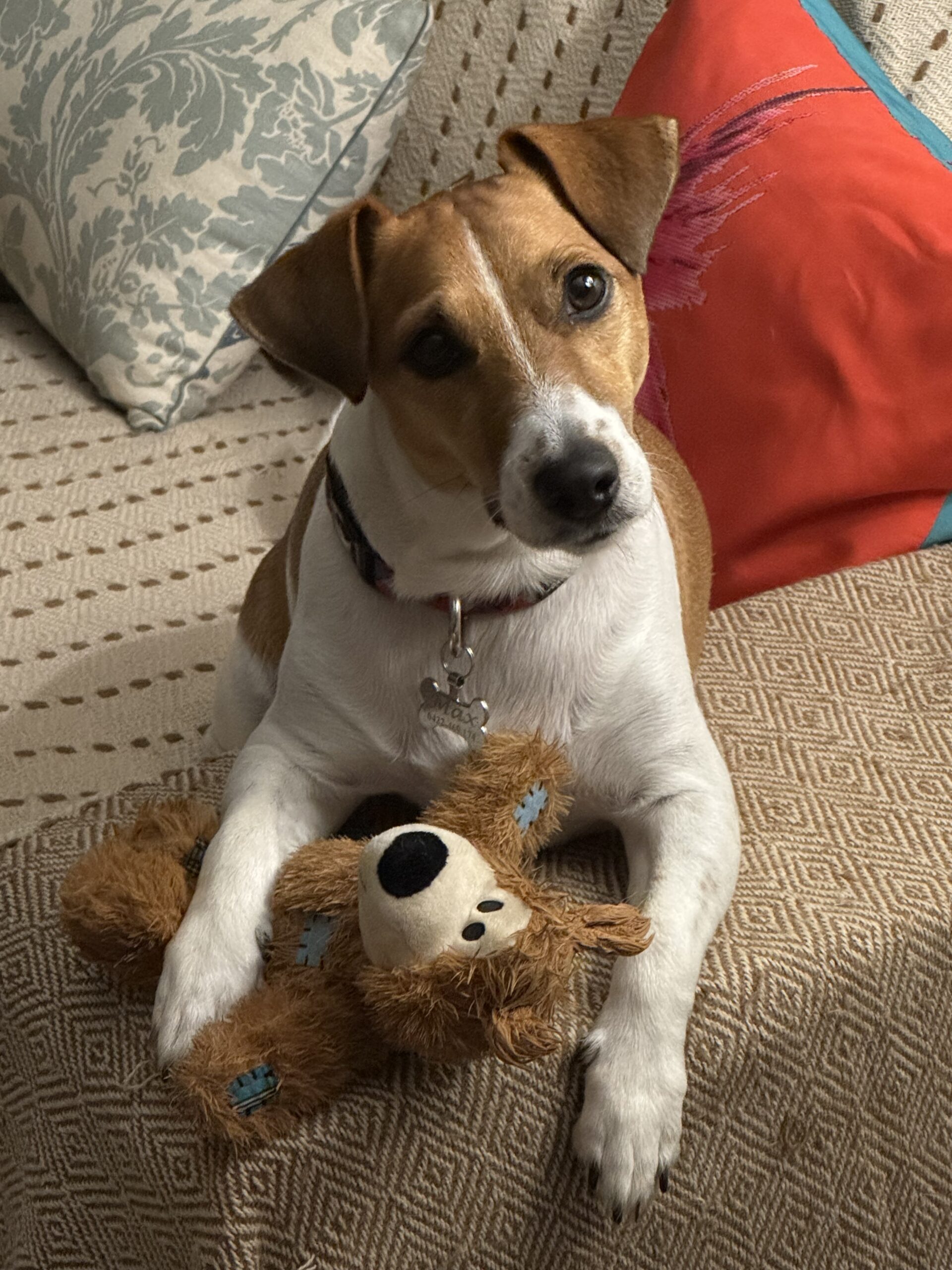 サブイメージ4枚目