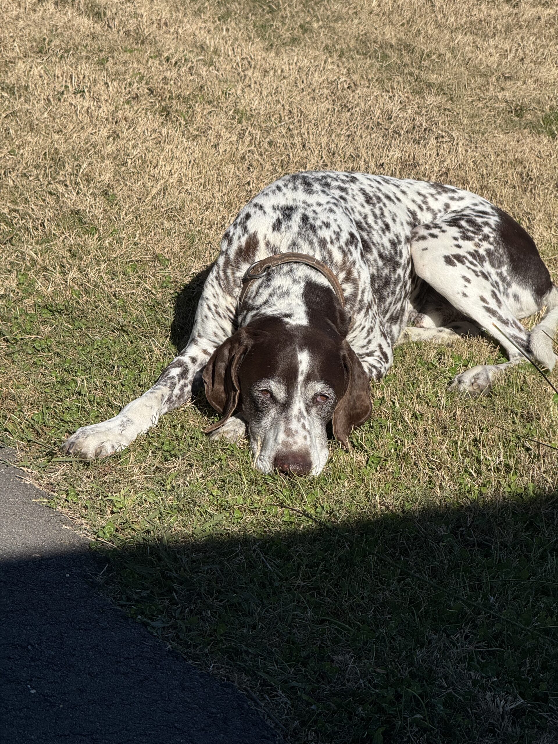 サブイメージ3枚目