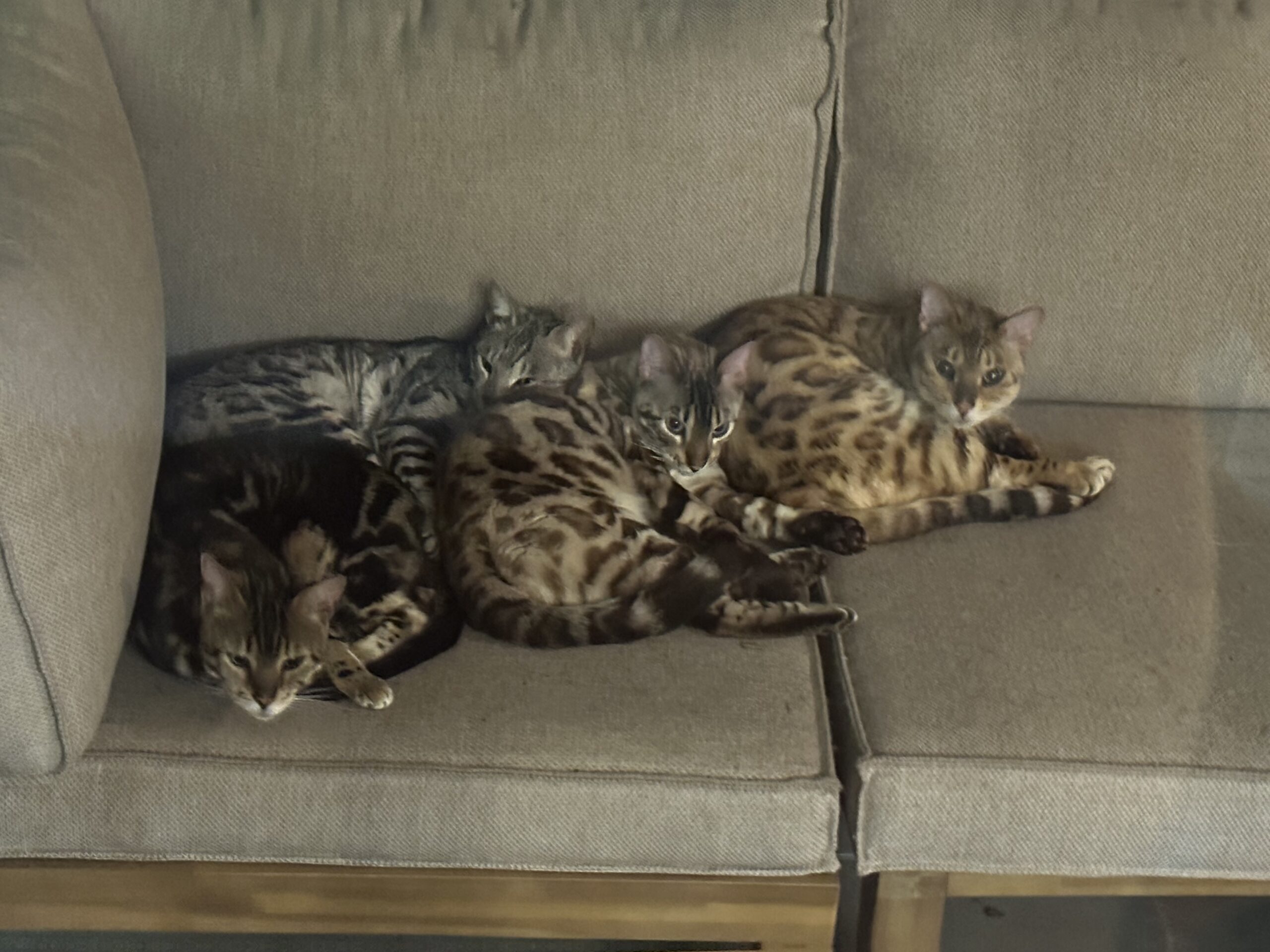 サブイメージ4枚目