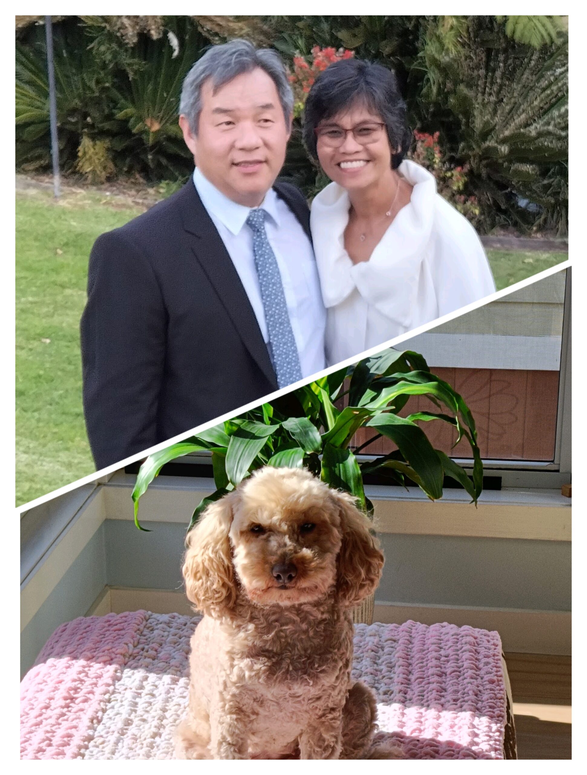 サブイメージ3枚目