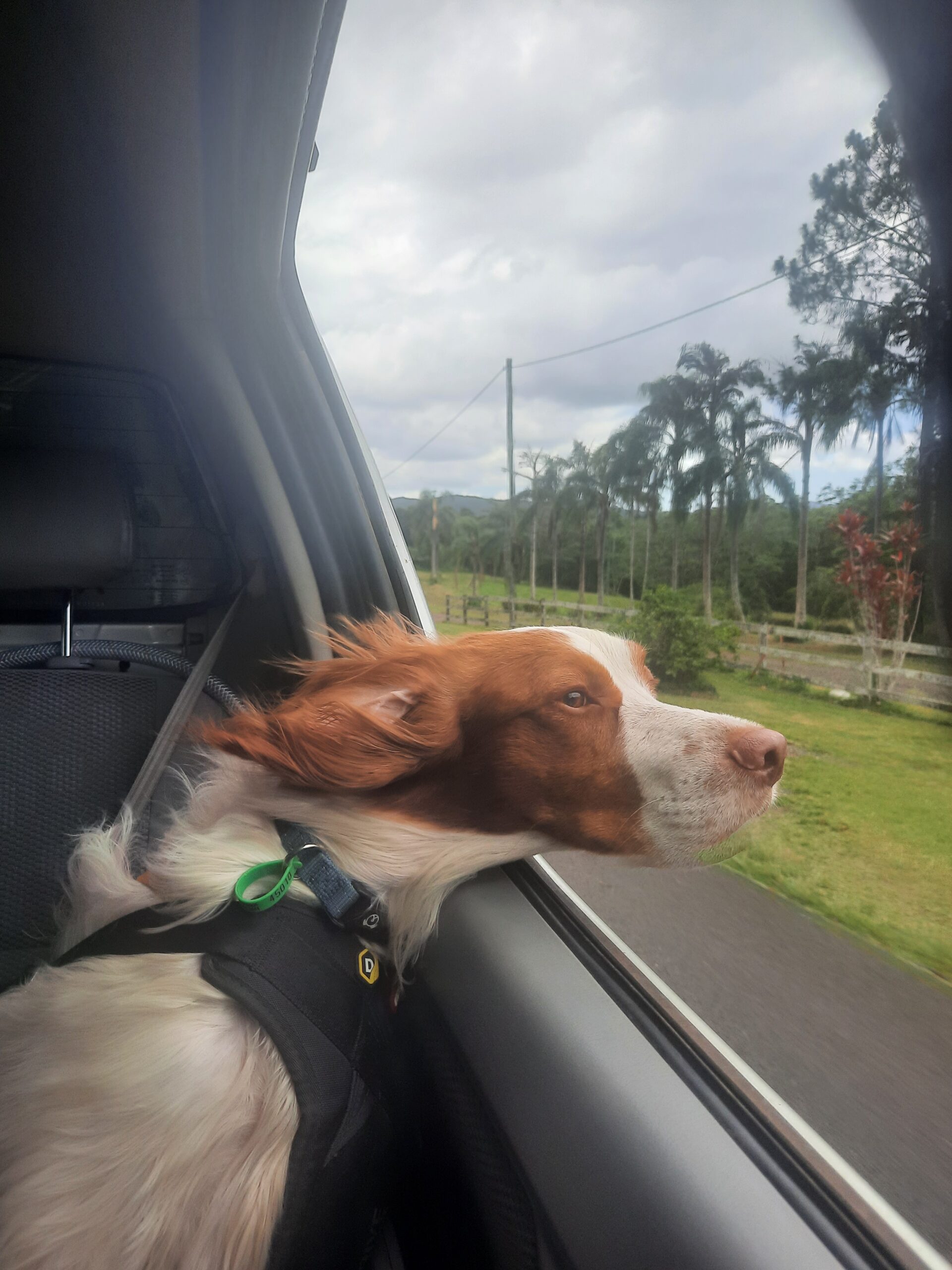 サブイメージ5枚目