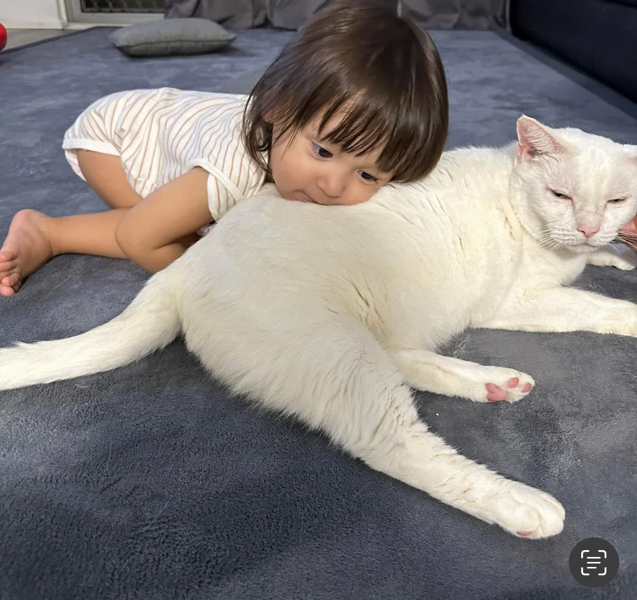 サブイメージ4枚目