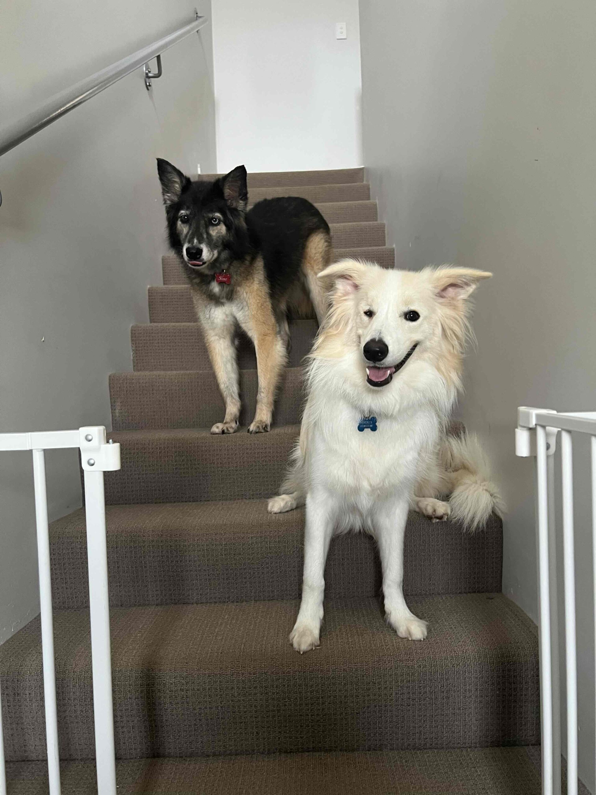 サブイメージ3枚目