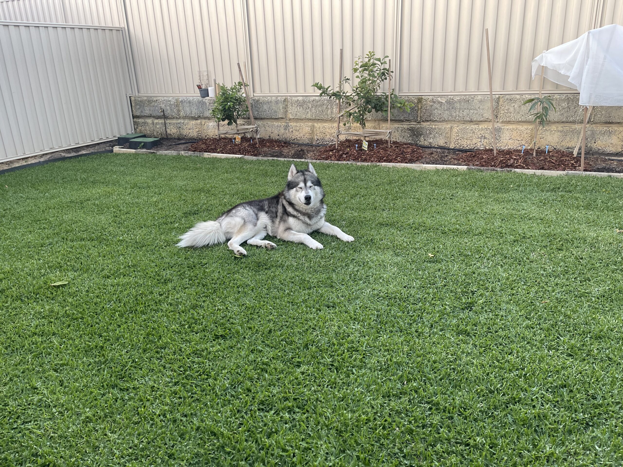 サブイメージ1枚目