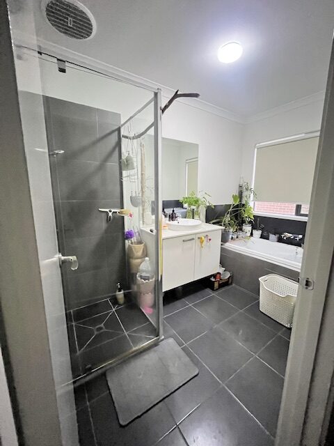 サブイメージ5枚目