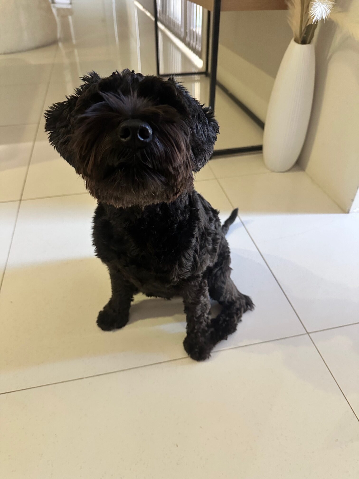 サブイメージ5枚目