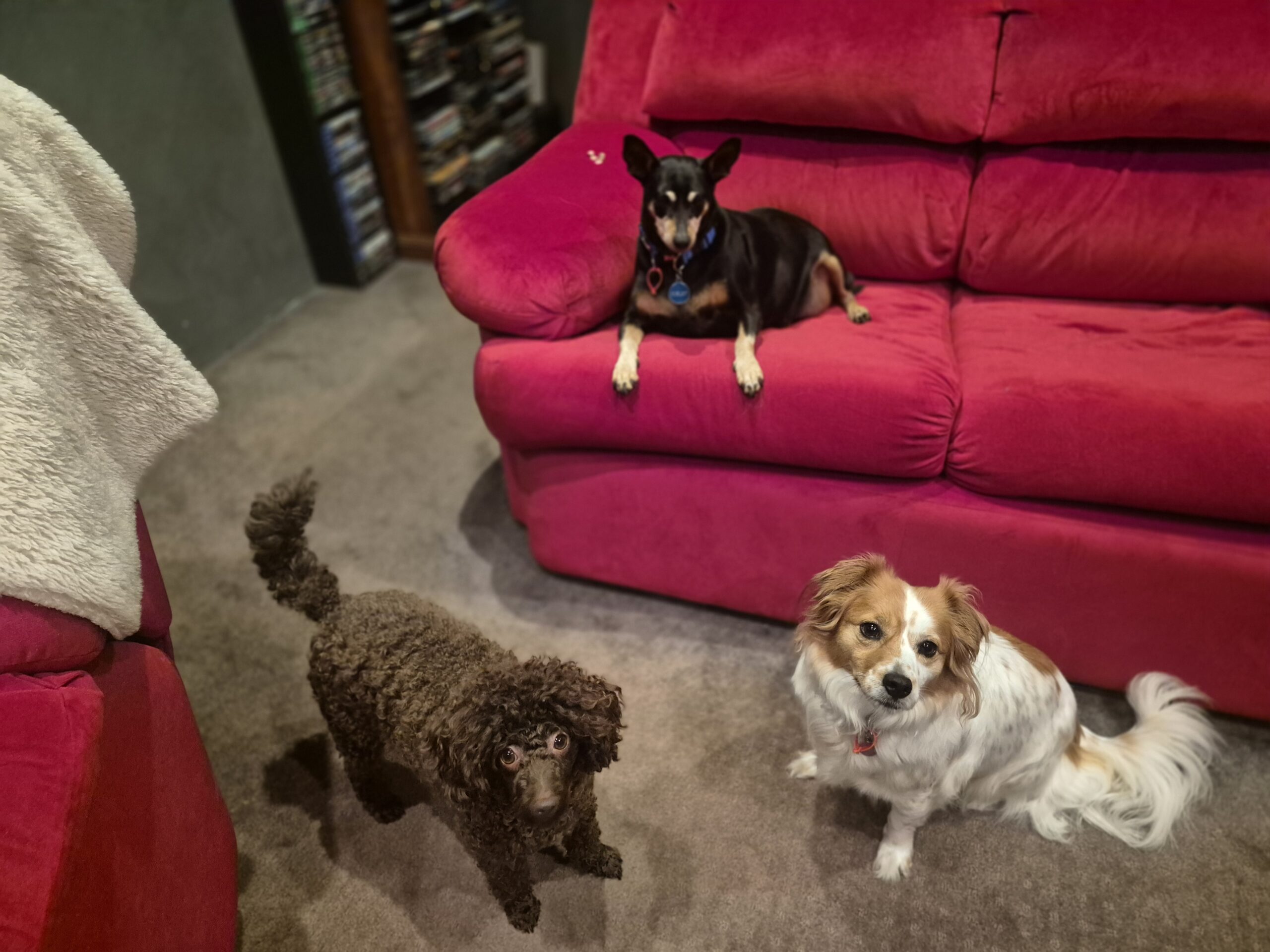 サブイメージ2枚目