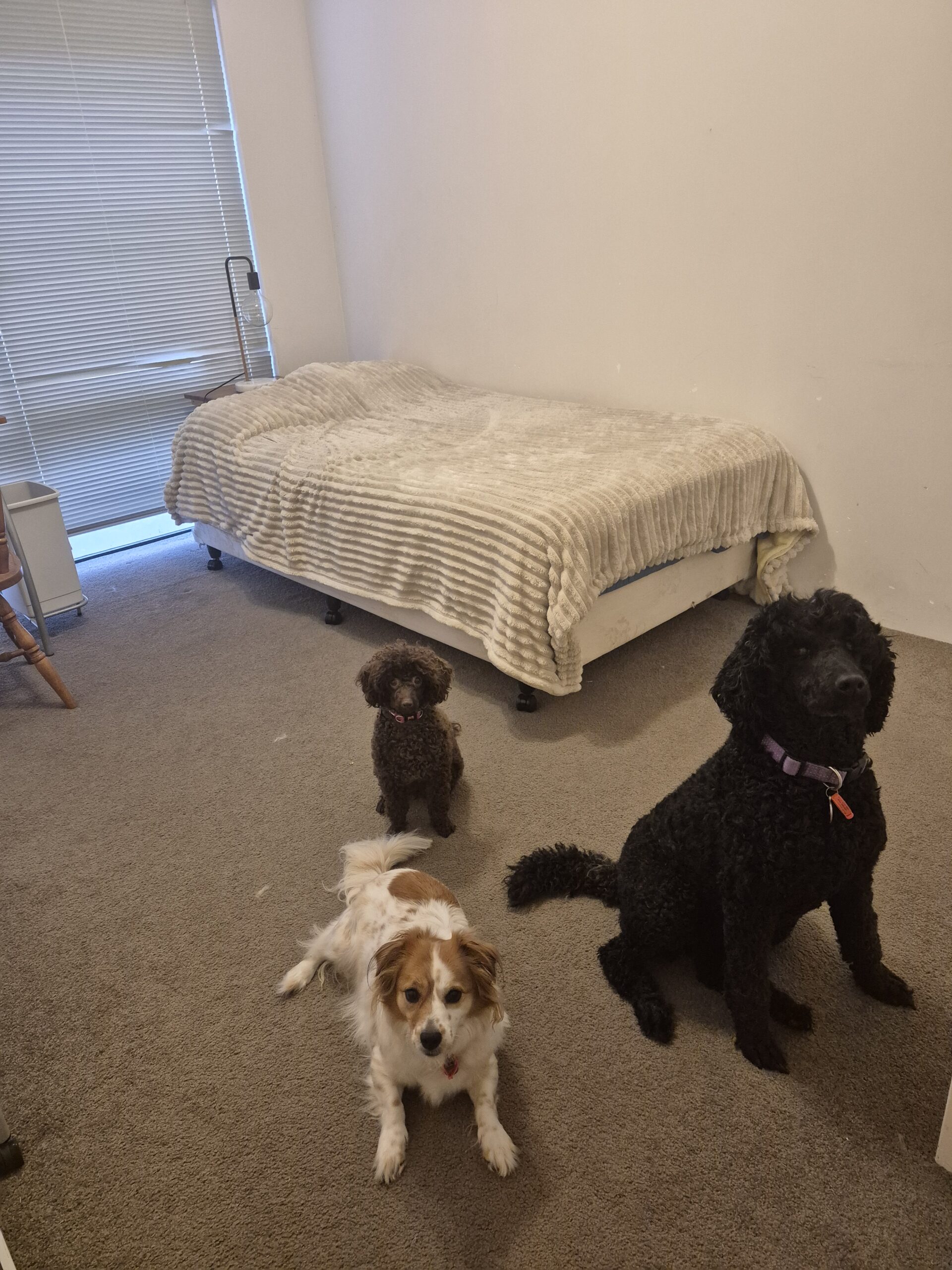 サブイメージ3枚目