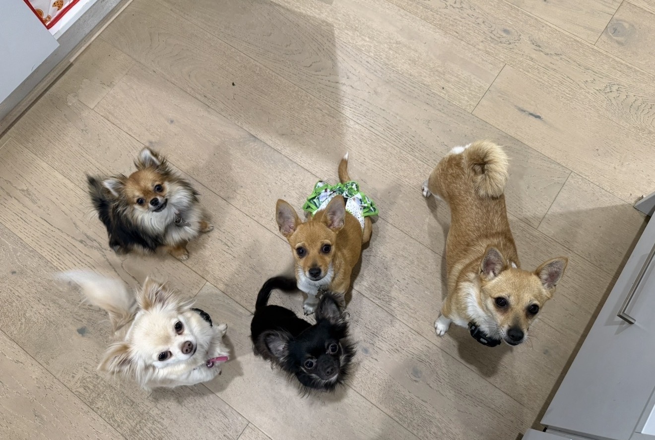 サブイメージ4枚目