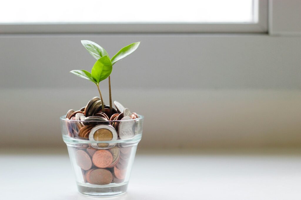 オーストラリアのホームステイ費用の相場をイメージしたコインと植物